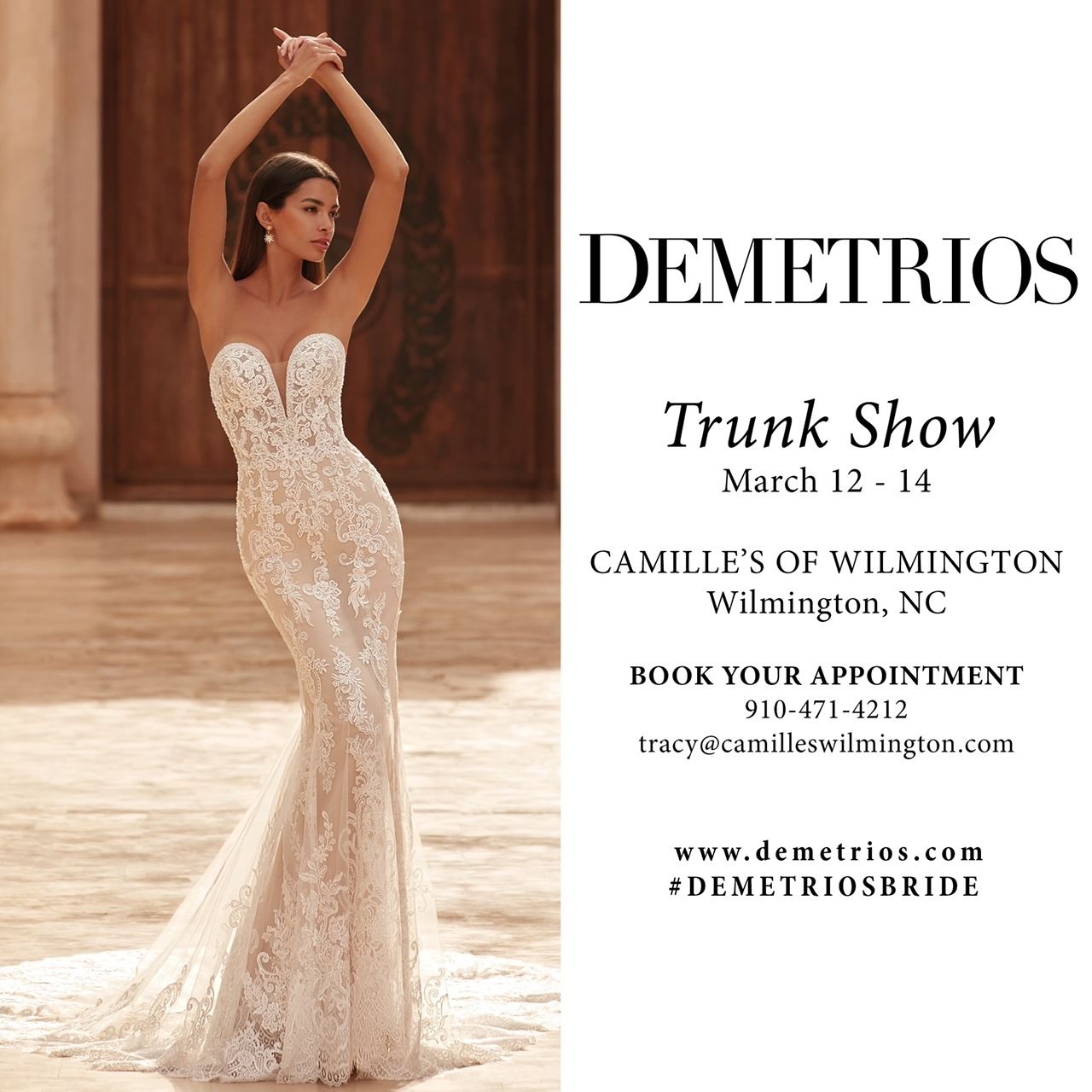 Demetrios Trunk Show Exclusive. Desktop Image