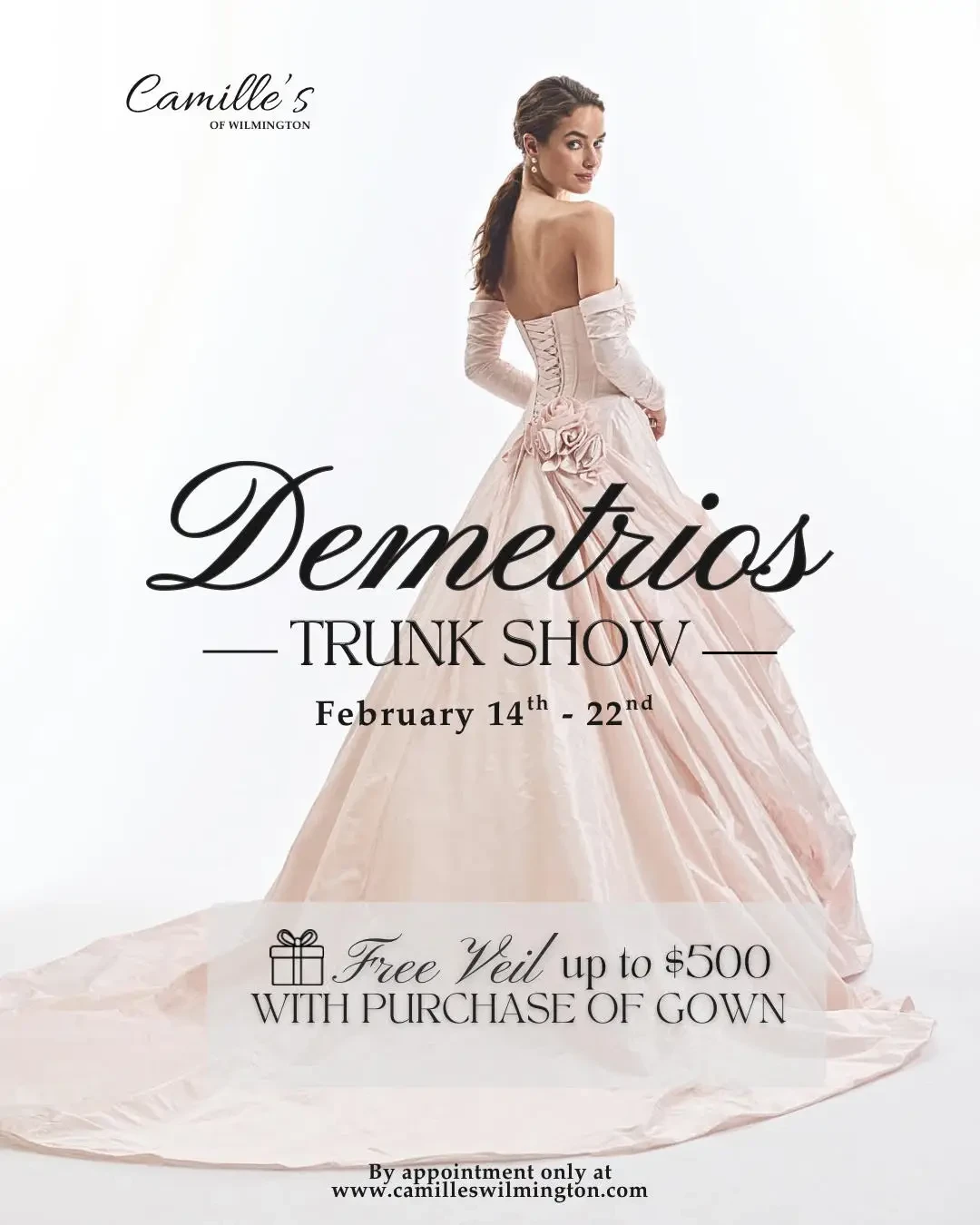Demetrios Trunk Show at Camille’s of Wilmington. Desktop Image
