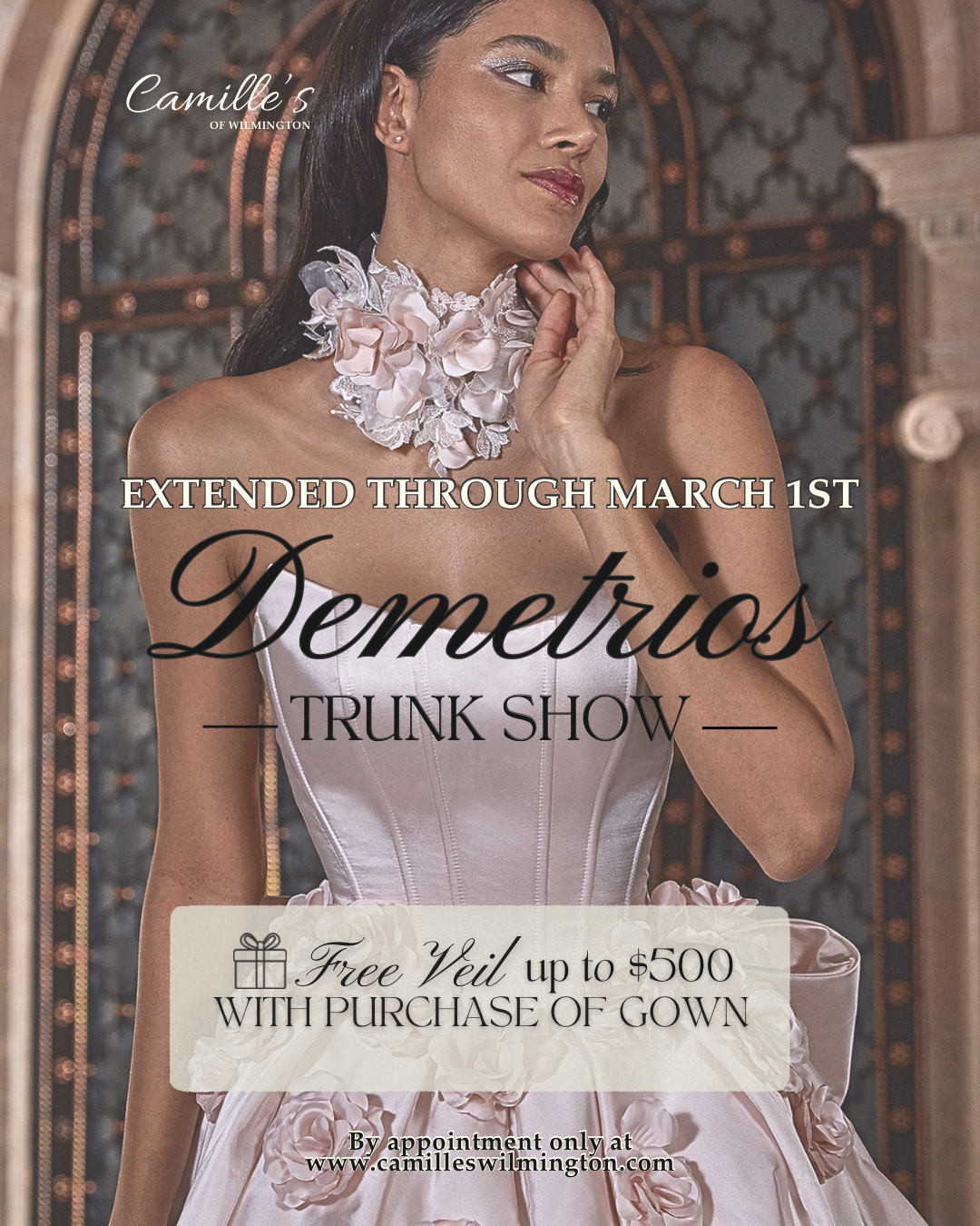 Demetrios Trunk Show at Camille’s of Wilmington. Mobile Image