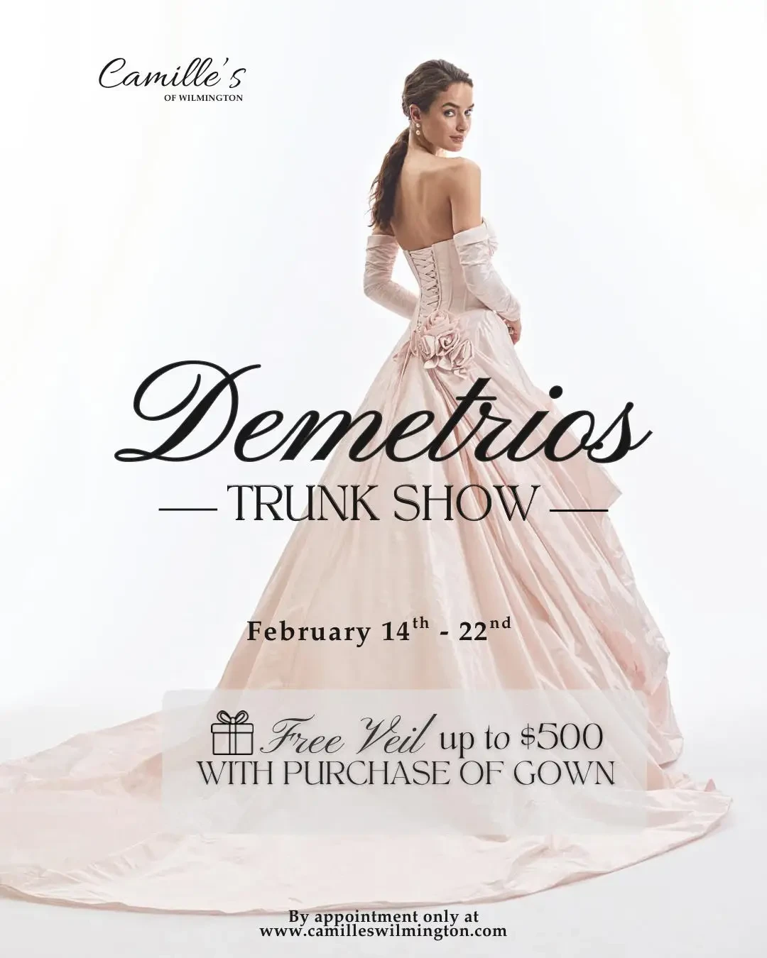 Demetrios Trunk Show at Camille’s of Wilmington Image