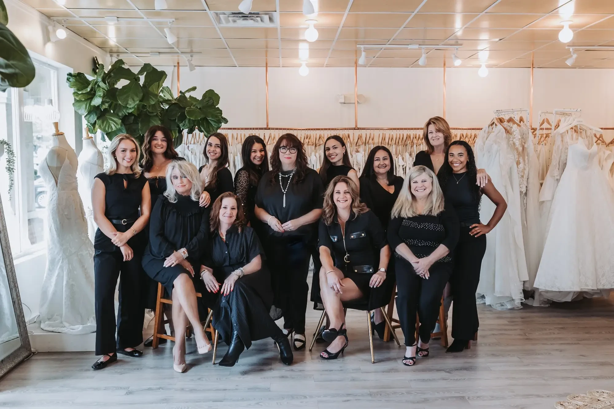 Meet the Team