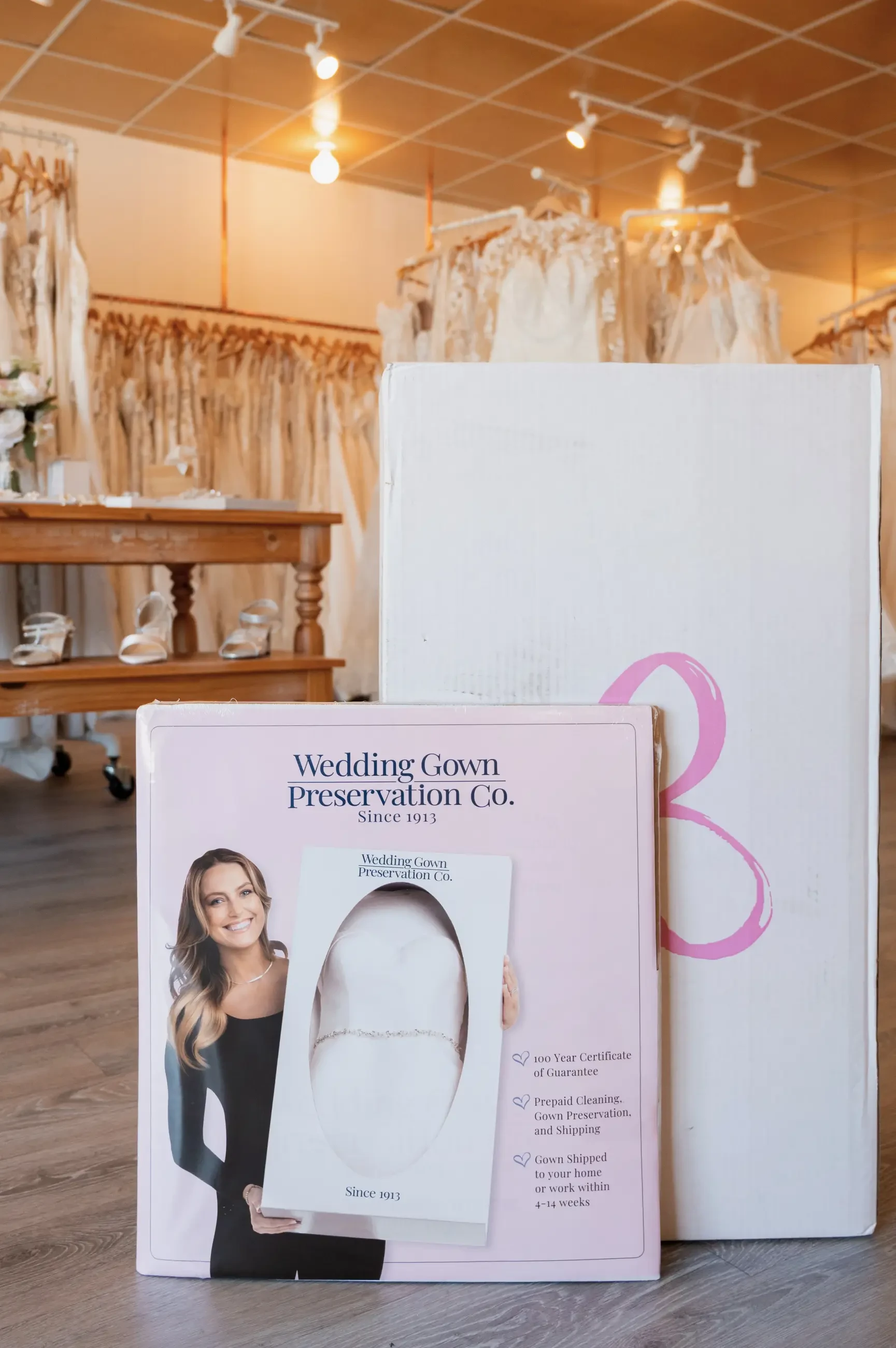 Wedding Gown Preservation Image