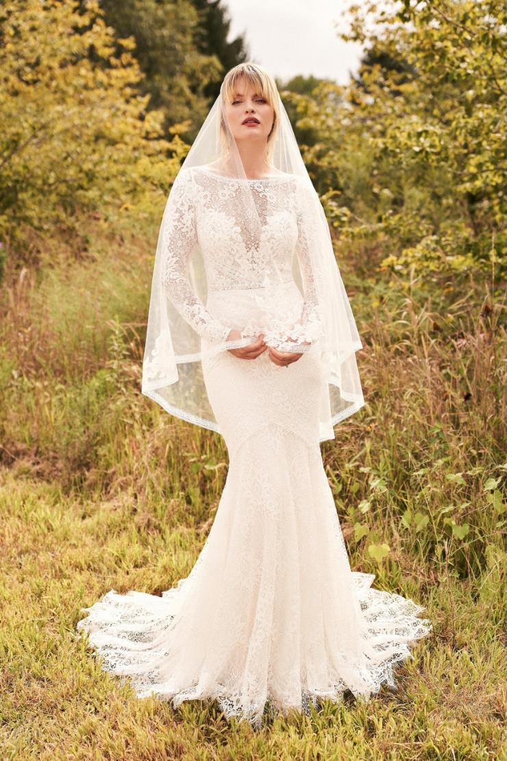 Lillian West Style #LW66191 sleeves included Image