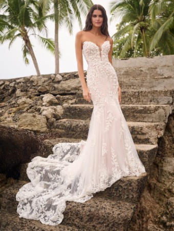 Sottero and Midgley Style #TANICA #0 Ivory/Silver Accent (gown with Ivory Illusion) thumbnail