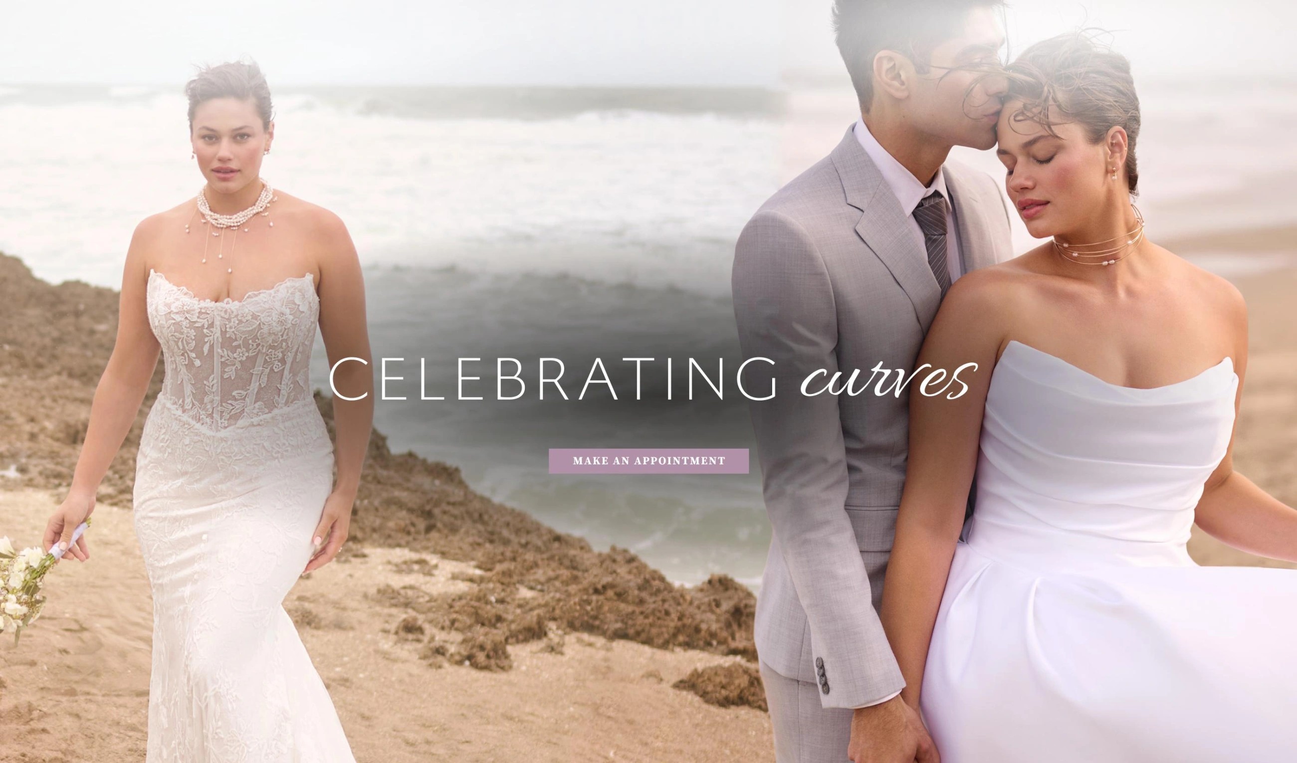 Celebrating curves desktop banner