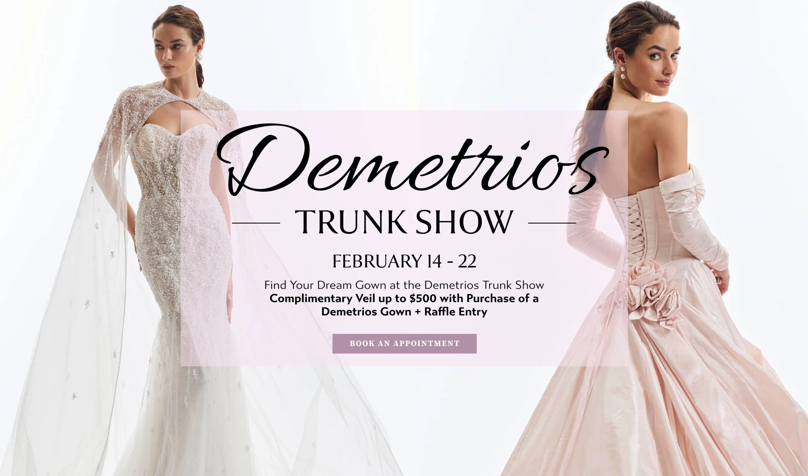 Demetrios Trunk Show