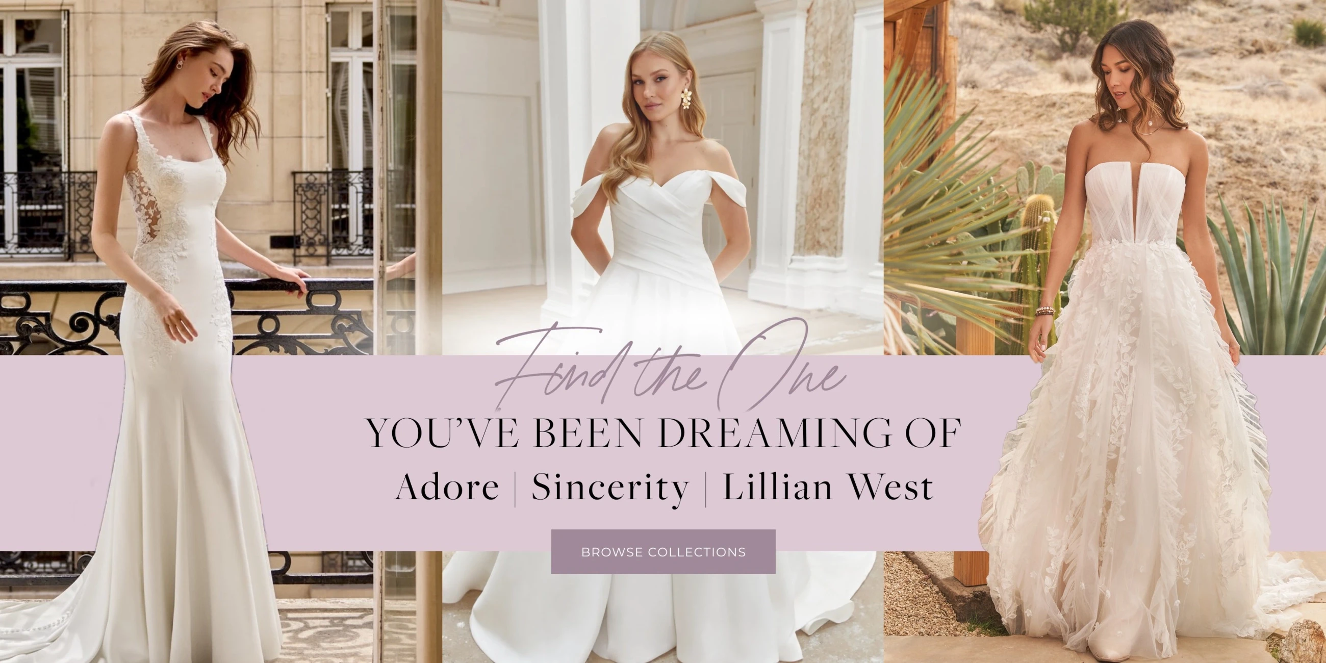 Find the One You've Been Dreaming Of